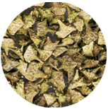 Natuurlijke ingrediënten Erectiepil: Tribulus Terrestris
